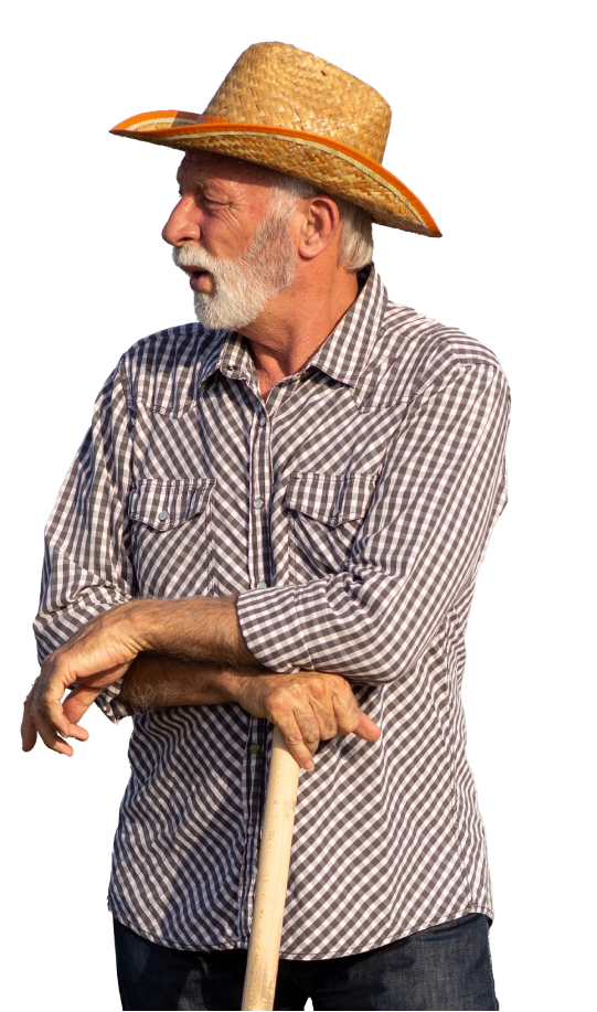 gazdasagatadas-aloldal-elemek_02-gazda1