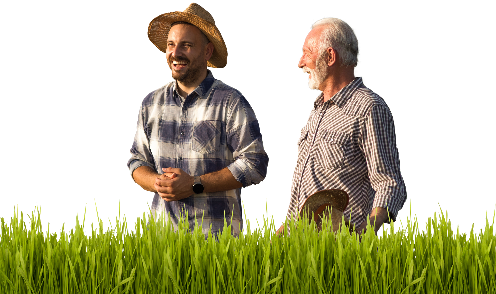 gazdasagatadas-aloldal-elemek_05-gazda3