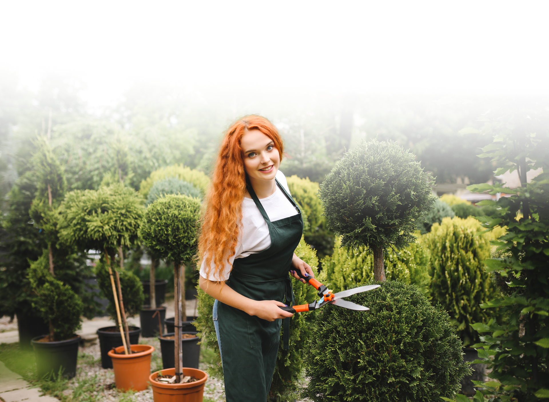 AGR-diszkerteszet_elemek-04-hatter