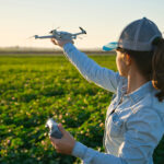 precíziós pályázatok