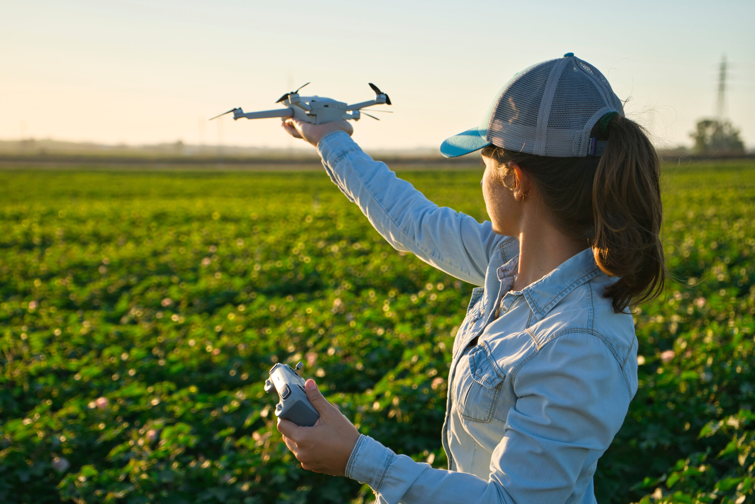 Farmer woman checks the field with dron. Inteligent agriculture and digital agriculture transformation precíziós pályázatok